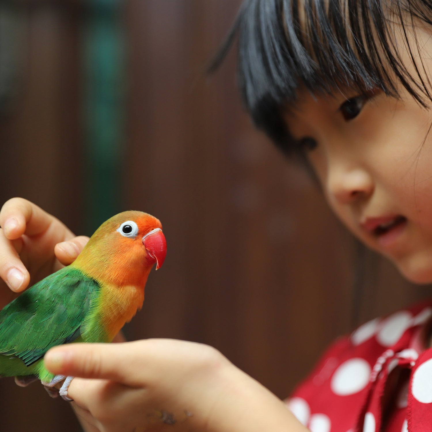 girl with pet