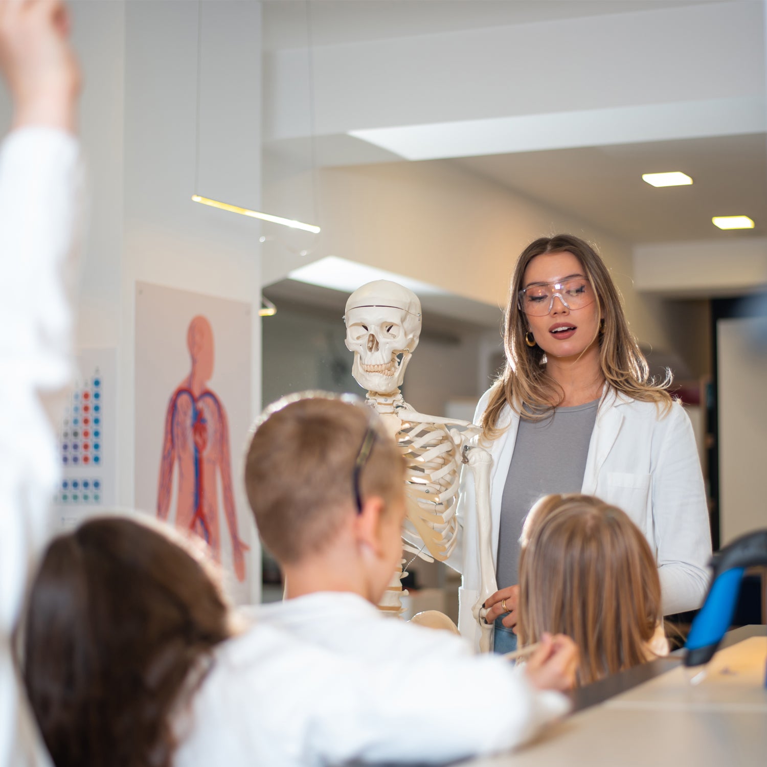 kids learning human anatomy